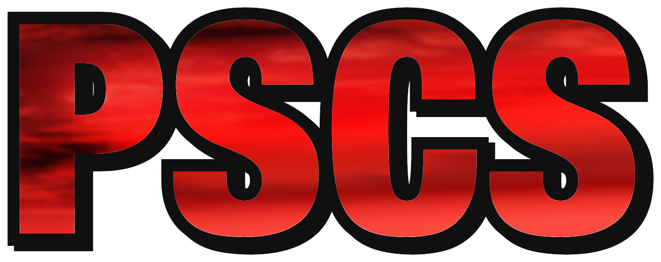 Pro Stock Car Series Logo